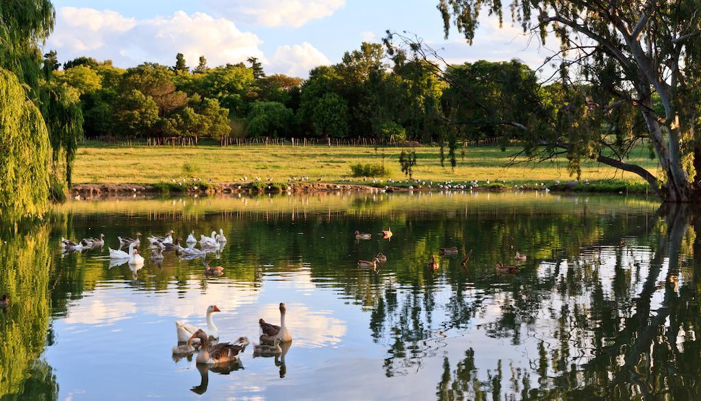 Zulu Nyala Country Manor Hotel Johannesburg Buitenkant foto