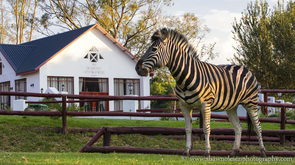 Zulu Nyala Country Manor Hotel Johannesburg Buitenkant foto